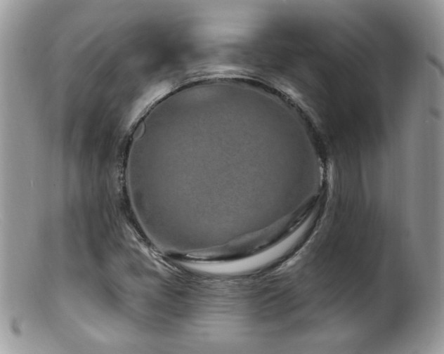X0000099521405200805151513
