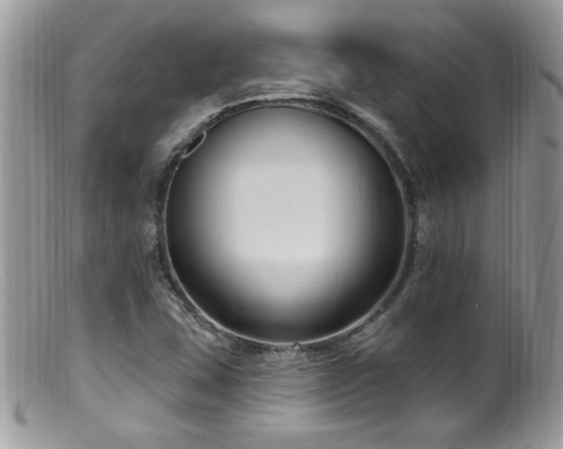 X0000099521407200805151513