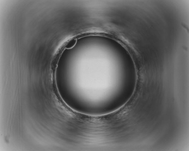 X0000099521408200805151513