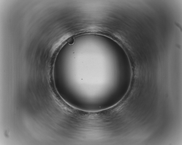 X0000099521410200805151513