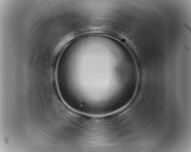 X0000099521411200805151513