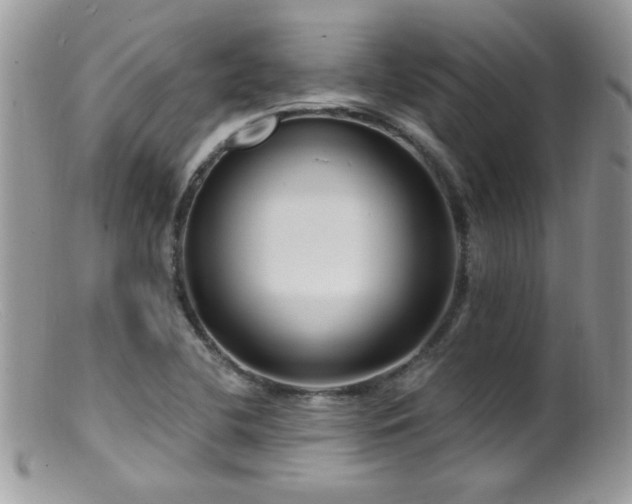 X0000099521412200805151513