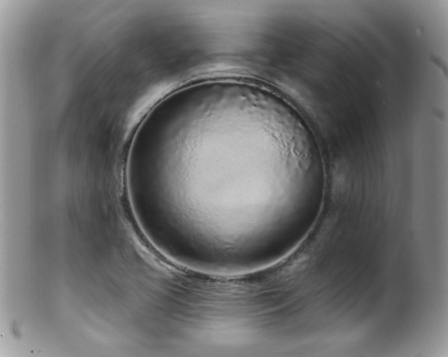 X0000099521413200805151513