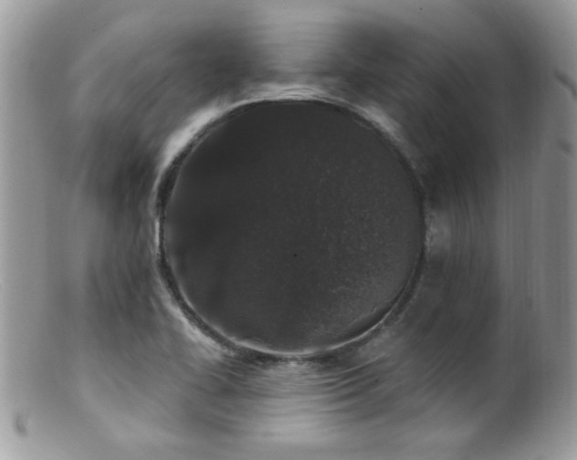 X0000099521414200805151513