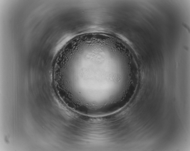 X0000099521415200805151513