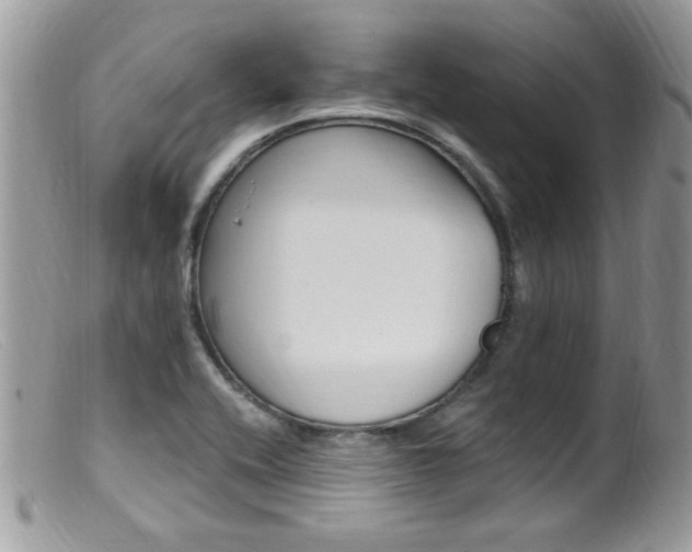 X0000099521416200805151513