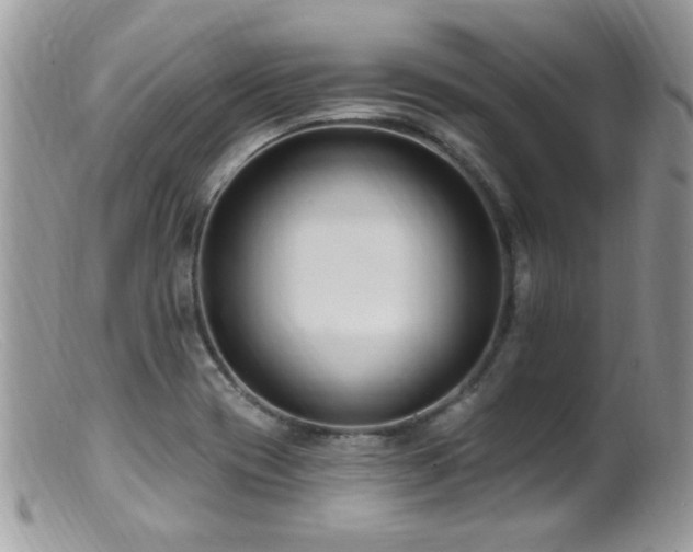 X0000099521417200805151513