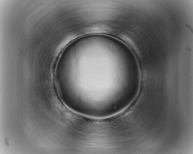 X0000099521419200805151513