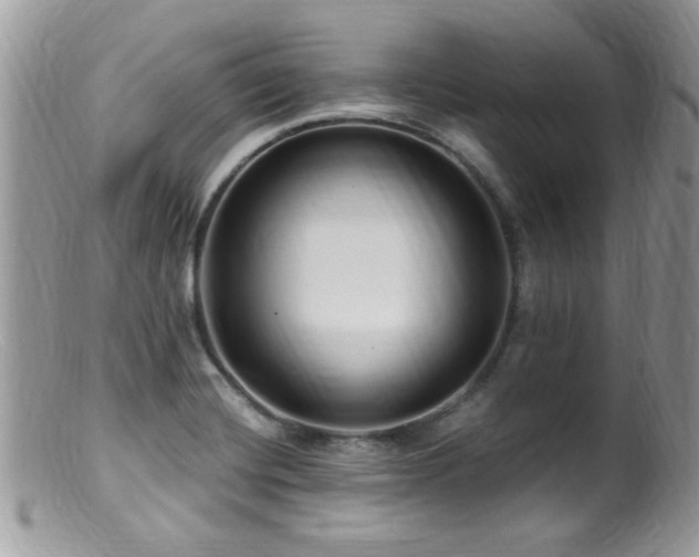 X0000099521420200805151513