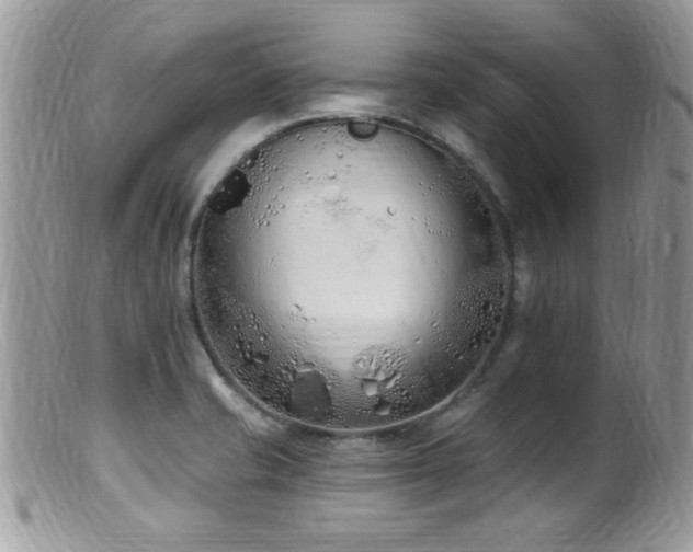 X0000099521421200805151513