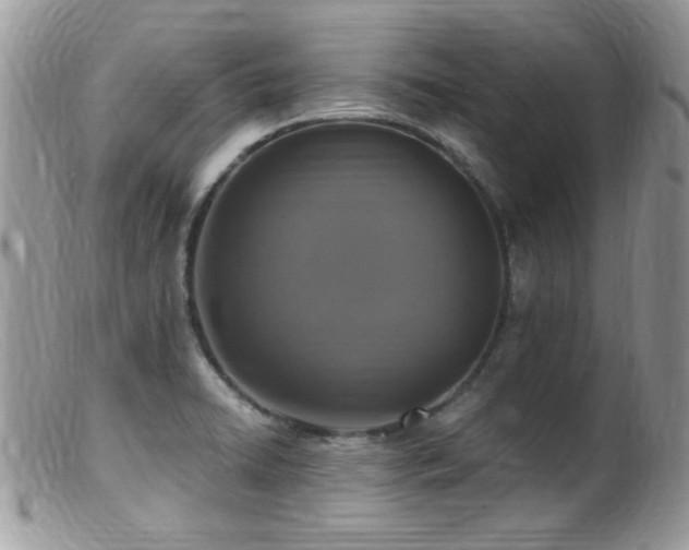 X0000099521422200805151513