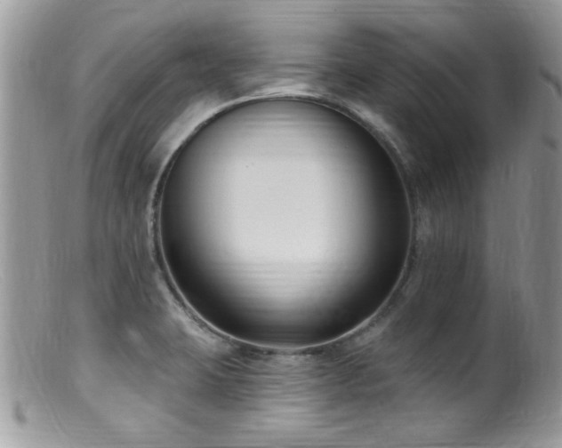 X0000099521423200805151513