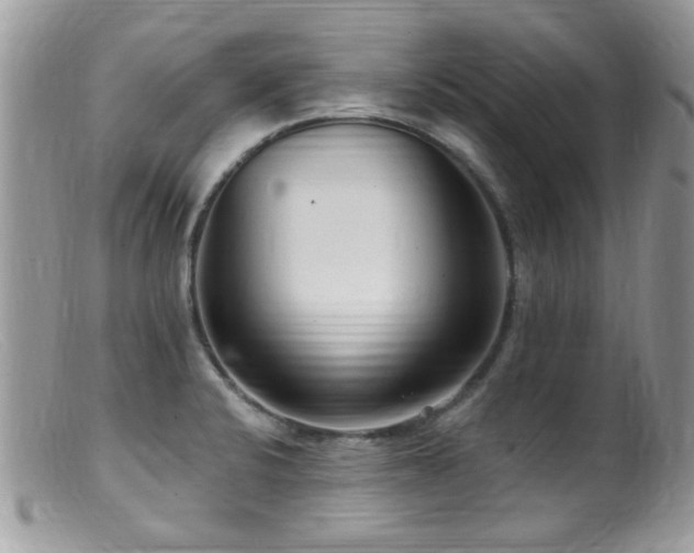 X0000099521424200805151513