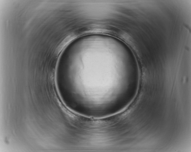 X0000099521425200805151513