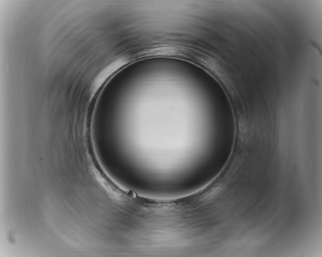 X0000099521426200805151513