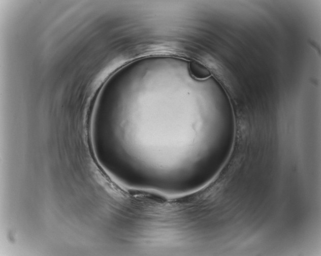 X0000099521427200805151513