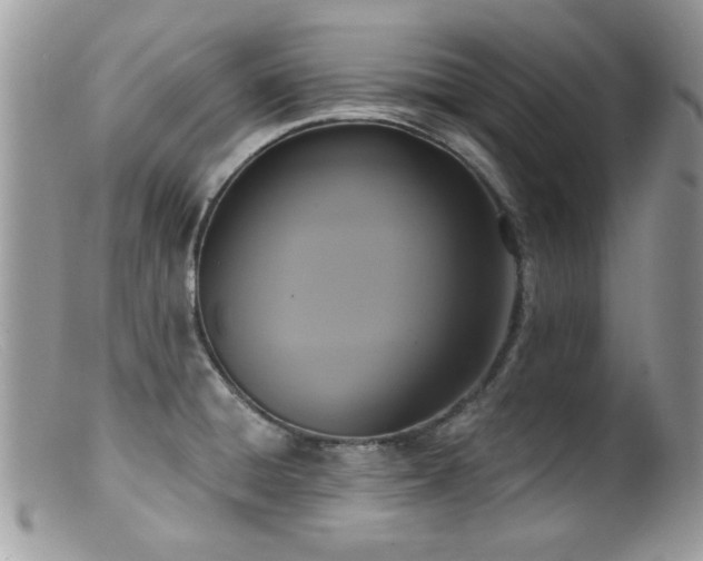 X0000099521428200805151513