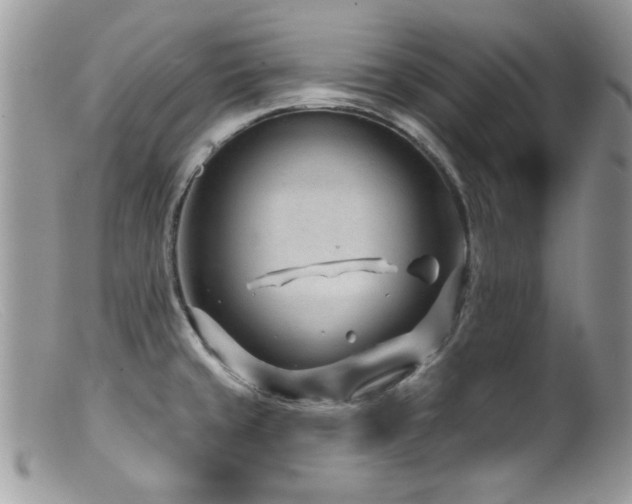 X0000099521429200805151513