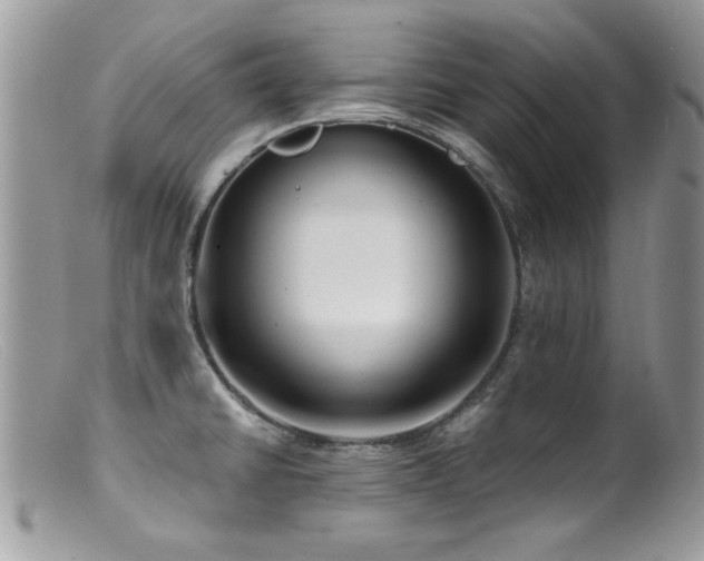 X0000099521430200805151513
