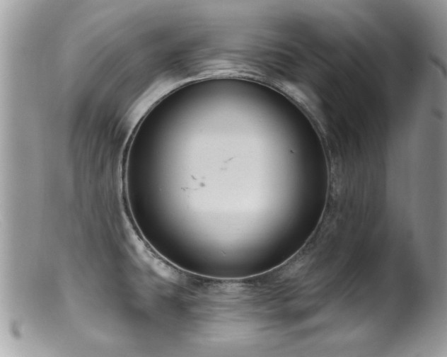 X0000099521431200805151513