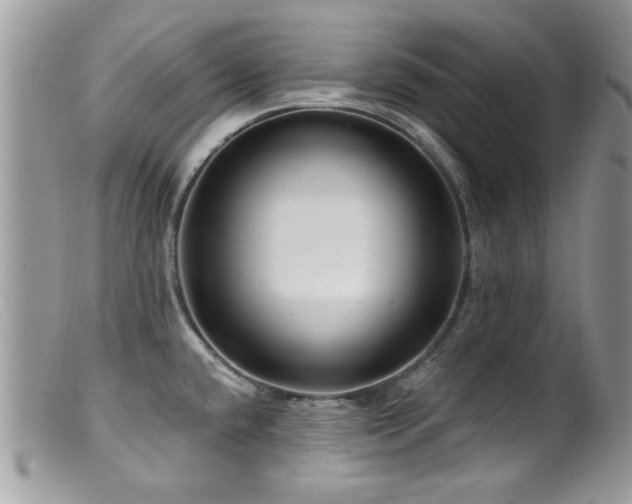 X0000099521432200805151513