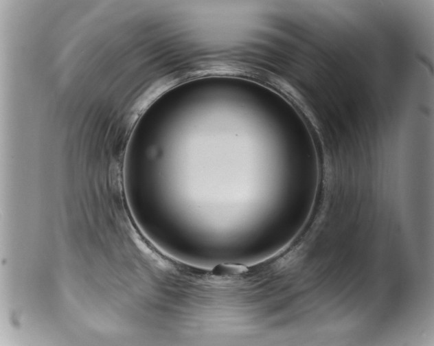 X0000099521433200805151513