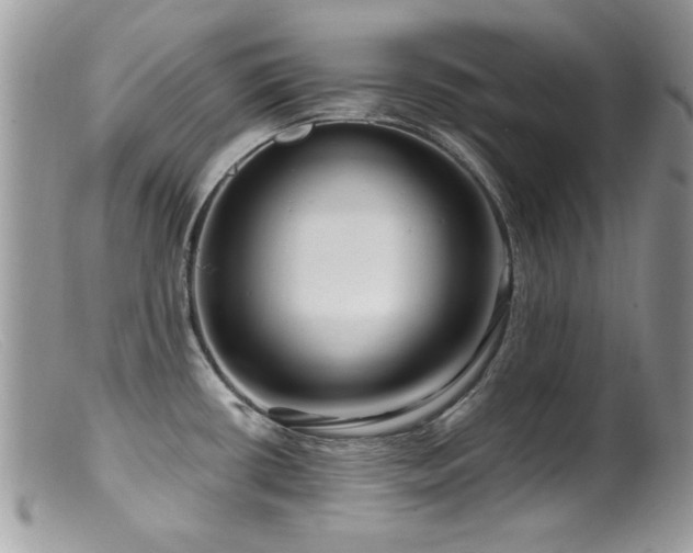 X0000099521434200805151513