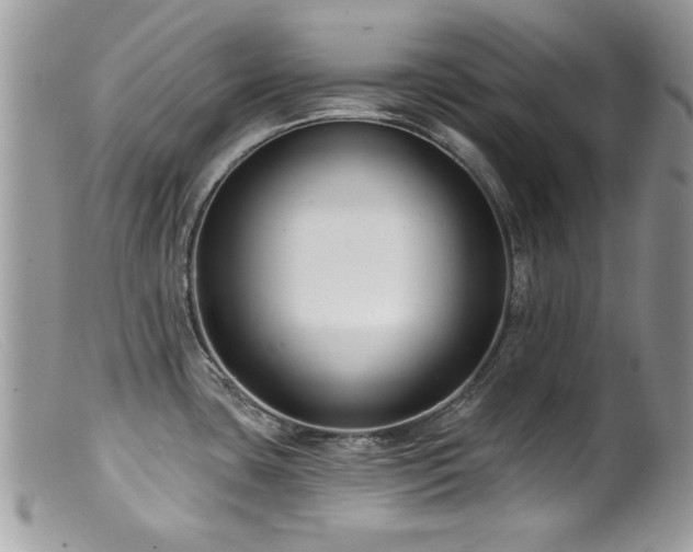 X0000099521435200805151513