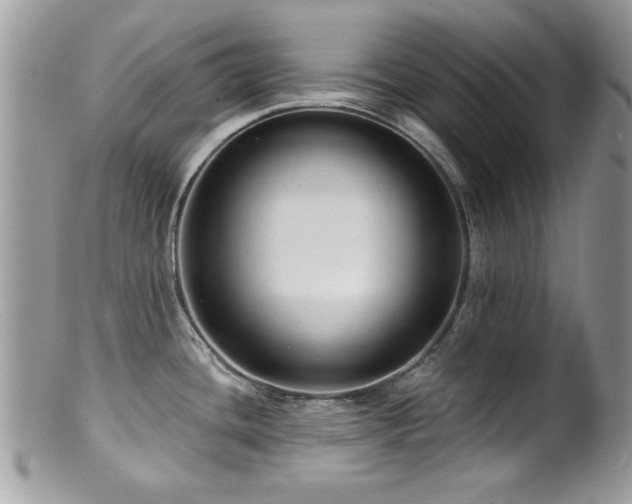 X0000099521436200805151514