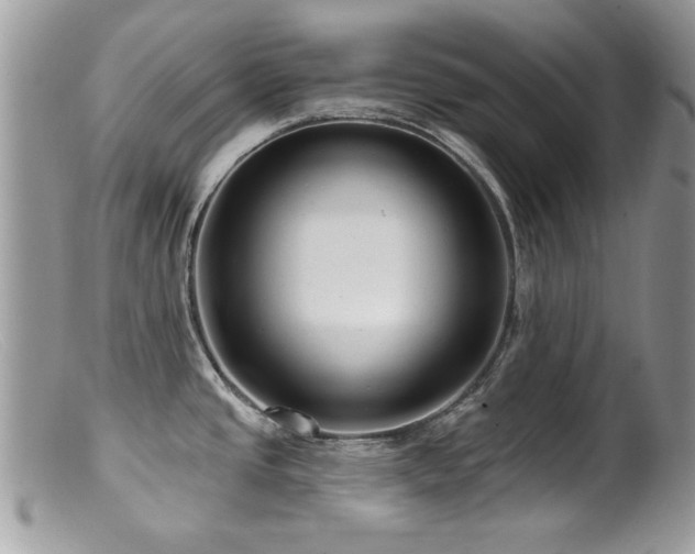 X0000099521437200805151514