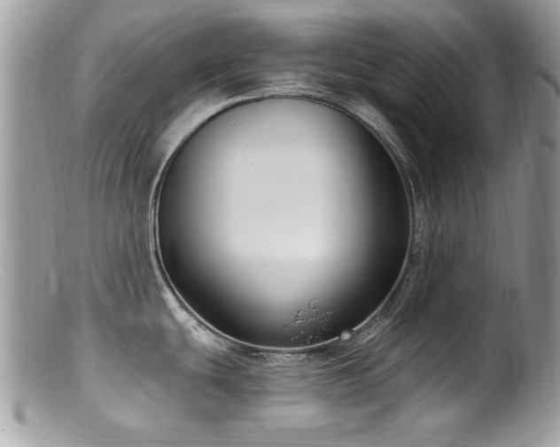 X0000099521439200805151514