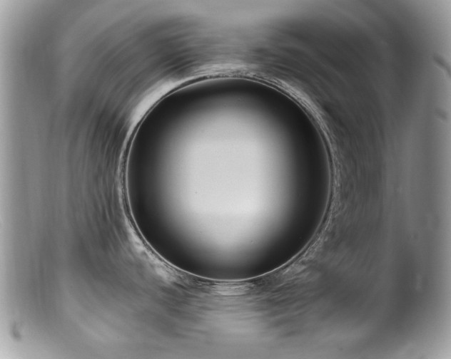 X0000099521440200805151514