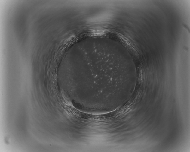X0000099521441200805151513
