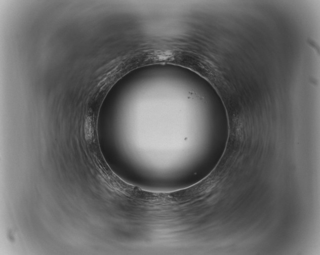 X0000099521442200805151513