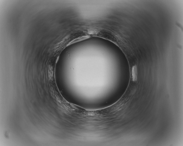 X0000099521443200805151513