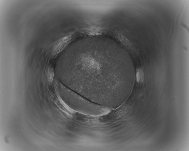 X0000099521444200805151513