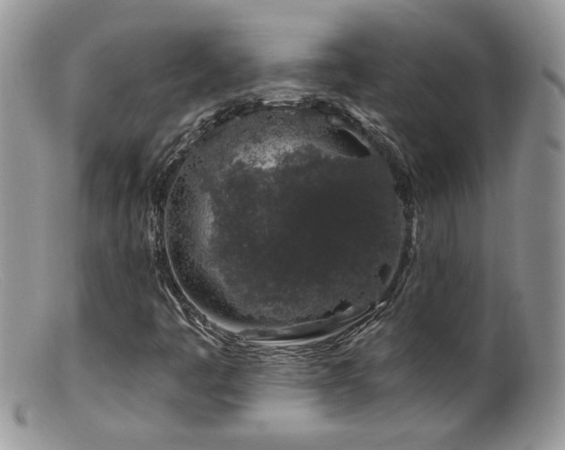X0000099521445200805151513