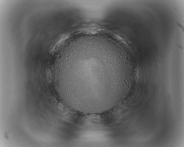 X0000099521446200805151513