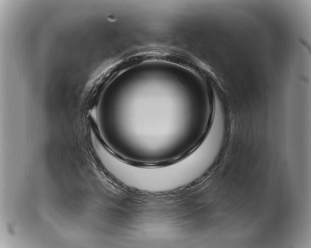 X0000099521448200805151513