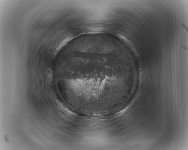 X0000099521449200805151513