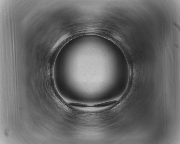 X0000099521450200805151513