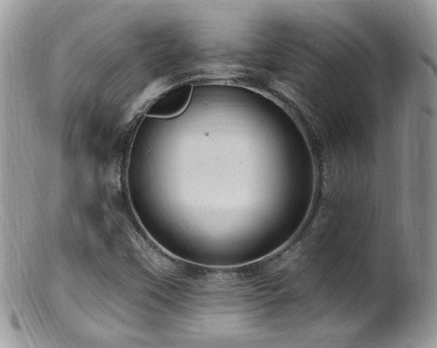 X0000099521451200805151513