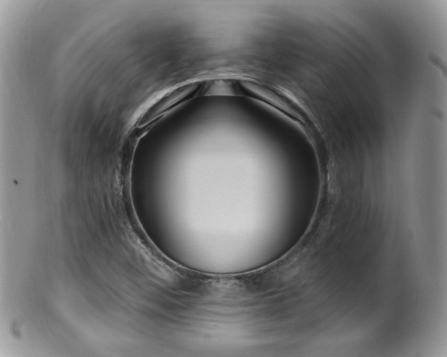 X0000099521452200805151513