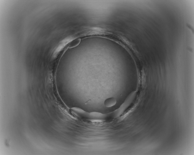X0000099521453200805151513