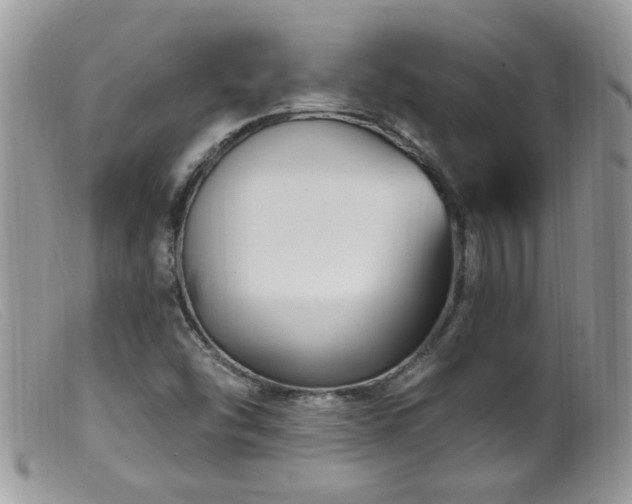 X0000099521454200805151513