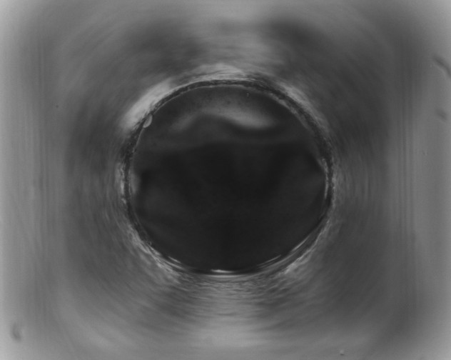 X0000099521455200805151513