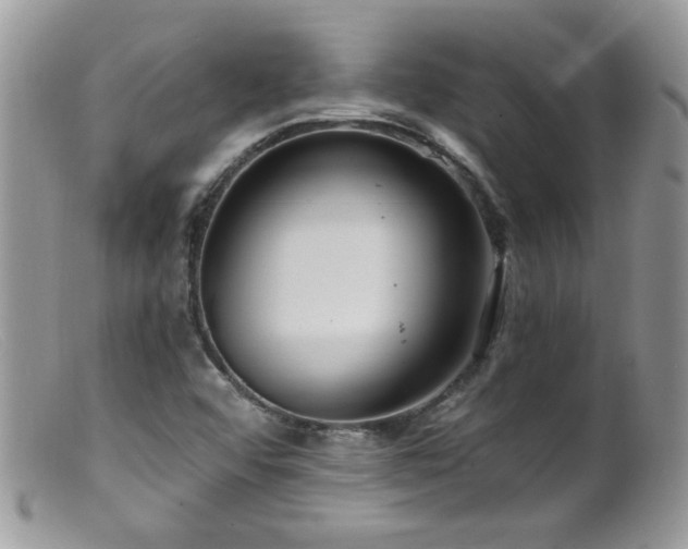 X0000099521456200805151513