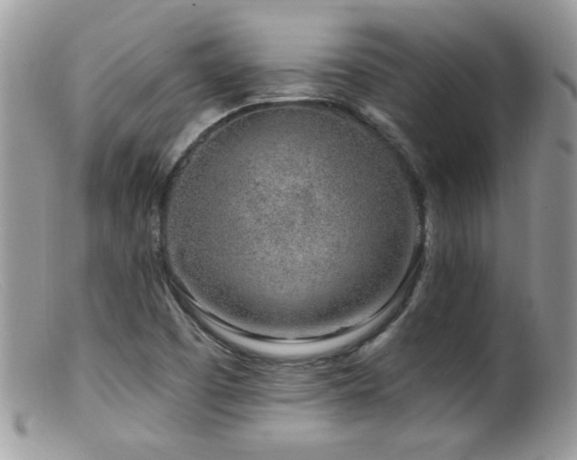 X0000099521457200805151513