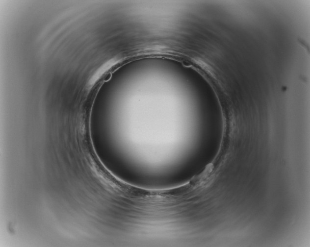 X0000099521458200805151513