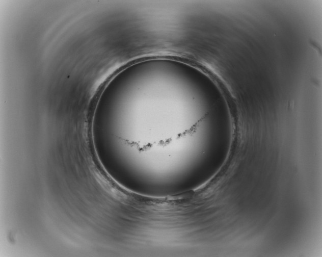 X0000099521460200805151513